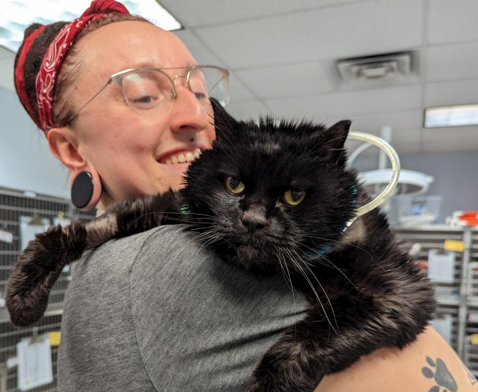 Smiling person holding Fossey the cat over her shoulder